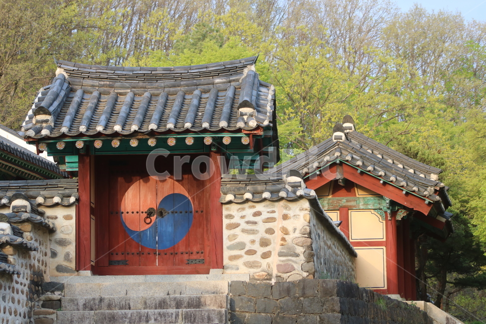 숭의전,한국전통,풍경,기와집,문양,기와,전통문,식물,돌담,기와지붕,아름다운,화려한,단아한,감성,배경,봄,문화제,한국전통,한국문화,korean traditional,korean culture,건축물,건물외관,exterior,building,structure,architecture,construction