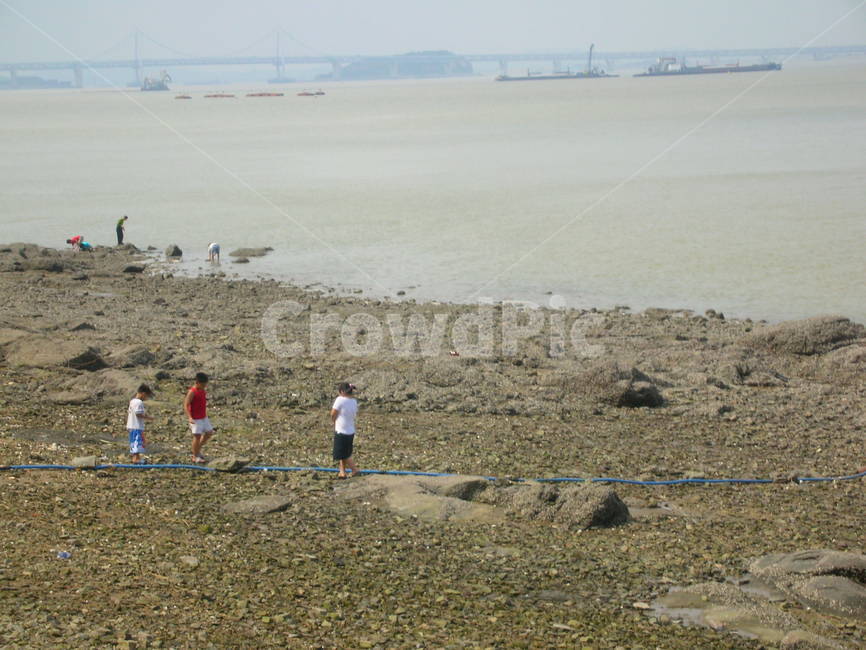 갯벌,해변,바다,인천,rock,mudflat,incheon,sea