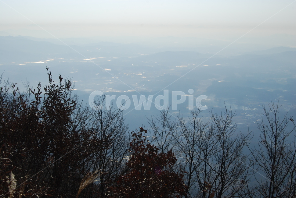 추읍산,양평,나무,자연,휴양림,자연,풍경,nature,landscape,한국자연풍경,한국자연경관,korea nature landscape,outdoors,옥외,경치,scenery