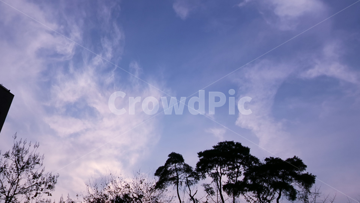 nature,자연,outdoors,옥외,sky,하늘,가을하늘