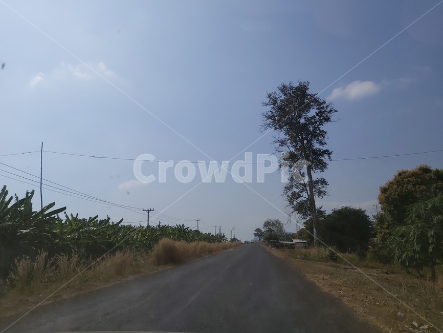 도로,하늘,나무,시골,바나나나무,바나나풀,아스팔트,흰구름,야외,외부,옥외,길,road,asphalt,sky,tree,local,cloud,nature,outdoor
