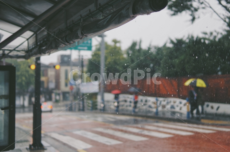 비,우산,서울,korea,감성,감성사진,rainy,빗방울,seoul,장마,감성,sensible,feeling,비,비오는날,rain,rainy