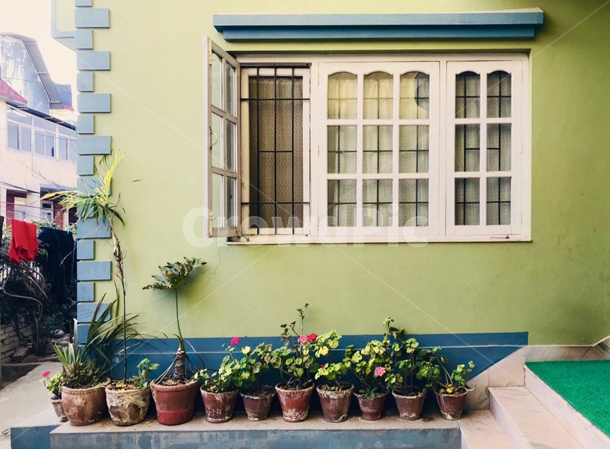 집,화분,꽃,창문,건물,flowerpot,건축물,건물외관,exterior,building,structure,architecture,construction