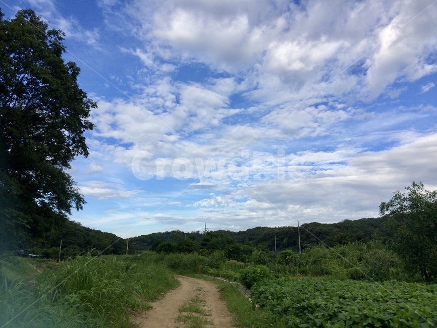 산책,자연길,구름,하늘,자연,산,자연,풍경,nature,landscape,outdoors,옥외