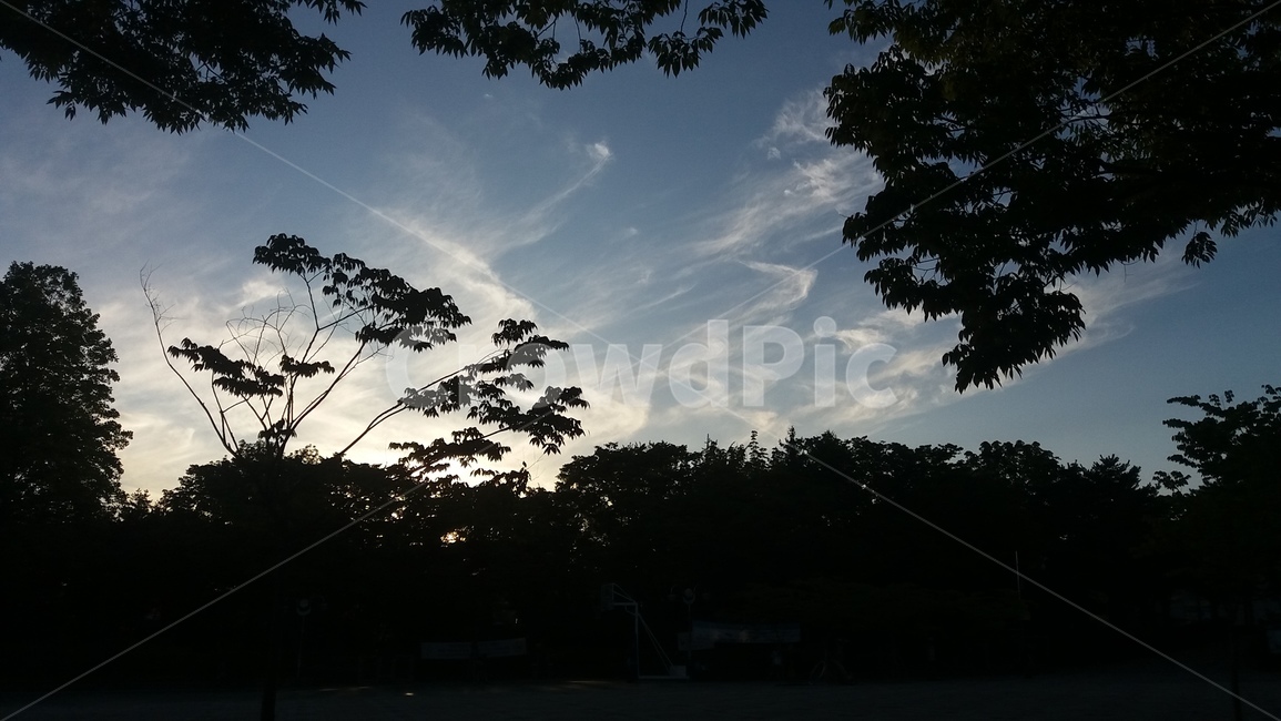 구름,나무,실루엣,그림자,노을,해질녘,tree,cloud,sky,자연,풍경