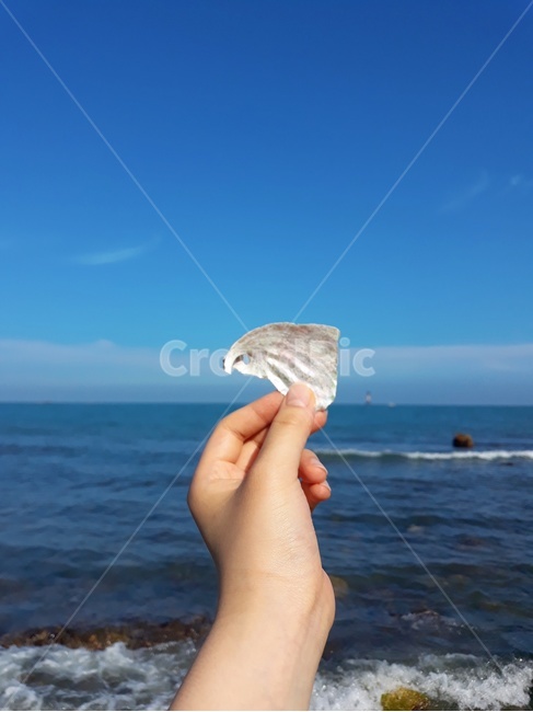 조개껍데기,조개껍질,하늘,바다,손