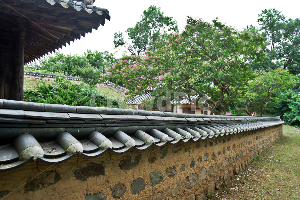 양동마을,경주,양반,집성촌,민속마을,조선시대,한옥,기와집,초가,문화재,유네스코세계유산,전통문화,월성손씨,여강이씨,자연,전통가옥,한국전통,한국문화,korean traditional,korean culture,건축물,건물외관,exterior,building,structure,architecture,construction