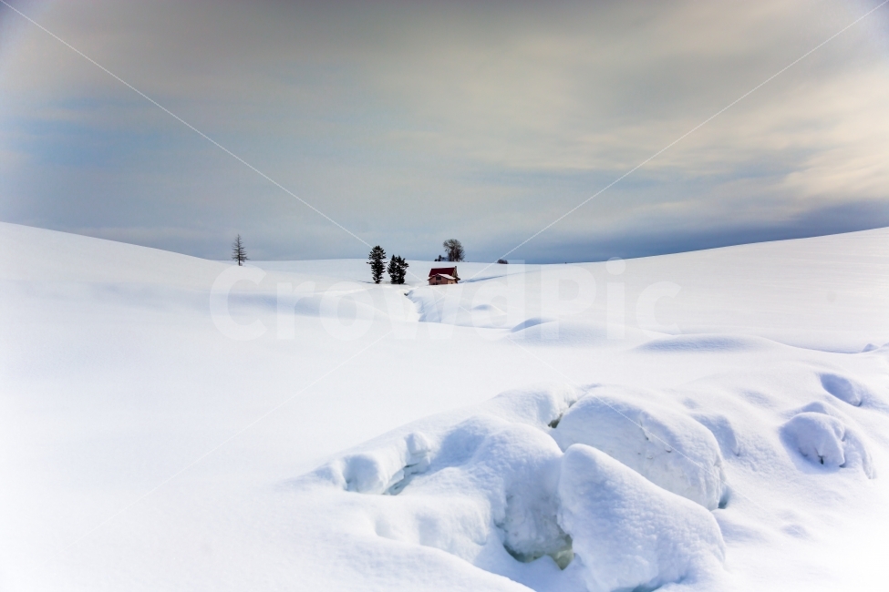 설국,일본,홋카이도,겨울,비에이,겨울,계절,winter,season,자연,풍경,nature,landscape,outdoors,옥외,mountain,산