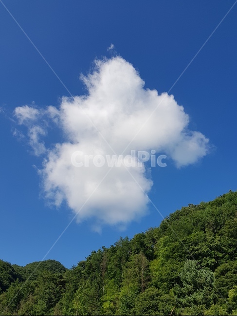 풍경,하늘,구름,자연,날씨
