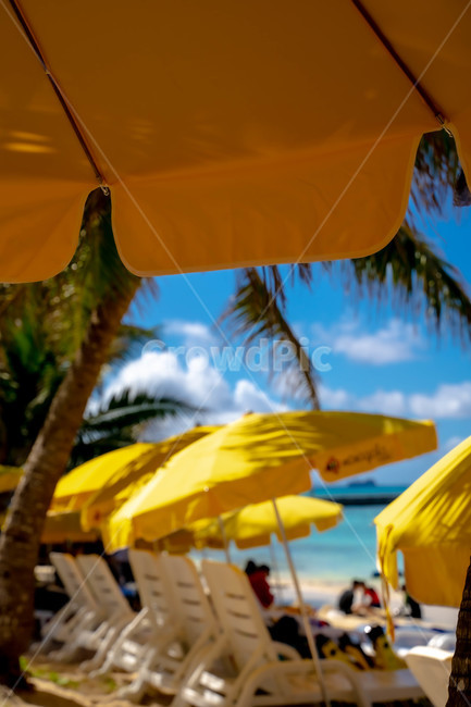 summer,여름,tropical,nature,자연,outdoors,land,물,water,해안선,shoreline,ocean,대양,sea,바다,coast,연안,파라솔,parasol,beach,바닷가,야자수,여름,계절,summer,season