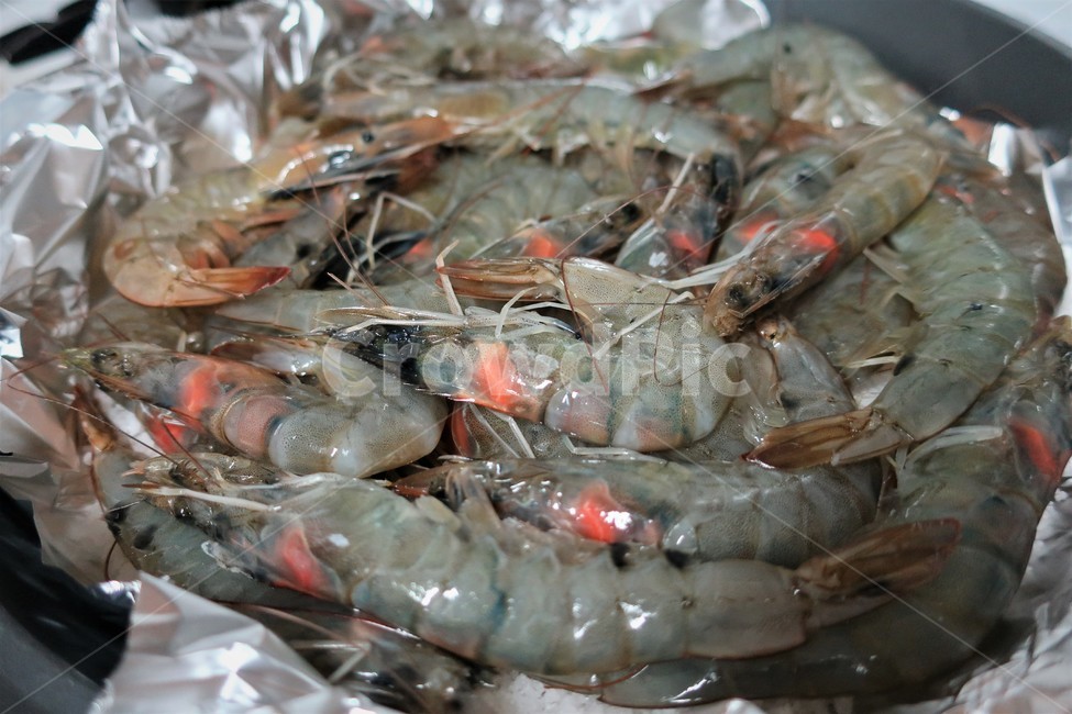 왕새우,새우,대하,생새우,소금구이,해산물,후라이팬,은박지,식재료,요리,음식,식재료,요리,food,cook,meal,dishes,food reserves,수산물,해산물,fishery products,seafood