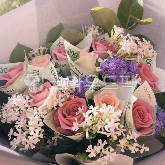 plant,식물,꽃,꽃꽂이,flower,돈다발,돈,돈꽃