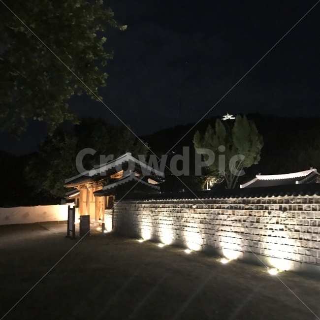 수원,화성행궁,야간,불빛,산책,야경,밤,풍경,nightscape,night,landscape,한국전통,한국문화,korean traditional,korean culture,랜드마크,landmark,tourist attraction,한국랜드마크,한국관광지,한국명소,korea landmark,korea tourist attraction,nature,자연,outdoors,옥외