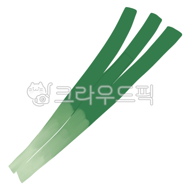 파, 대파, 야채, 채소, 그린어니언, 사진,이미지,일러스트,캘리그라피 - omija작가