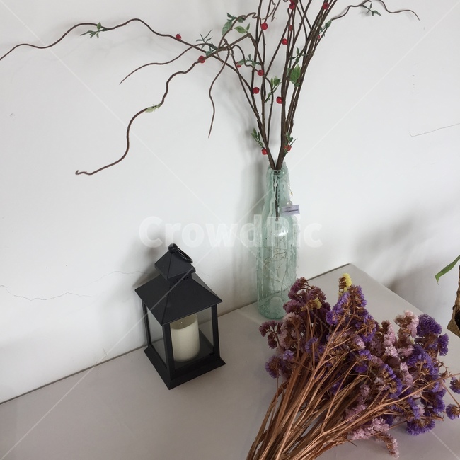 감성,카페,아름다움,인스타,식물,인테리어,실내디자인,interior design