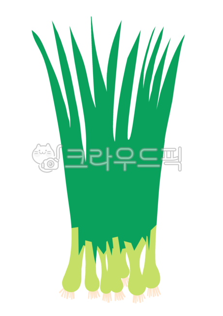 파,대파,쪽파,파일러스트,파그림,채소,야채,채소일러스트,야채일러스트,채소그림,야채그림,일러스트,디자인,vegetable,welshonion,design,illustration,draw