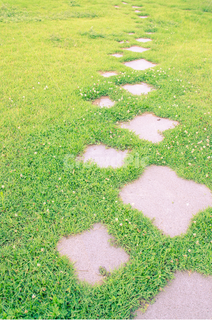 타일,잔디,풀,자연,거리,tile,gress,naturial,road,봄,spring