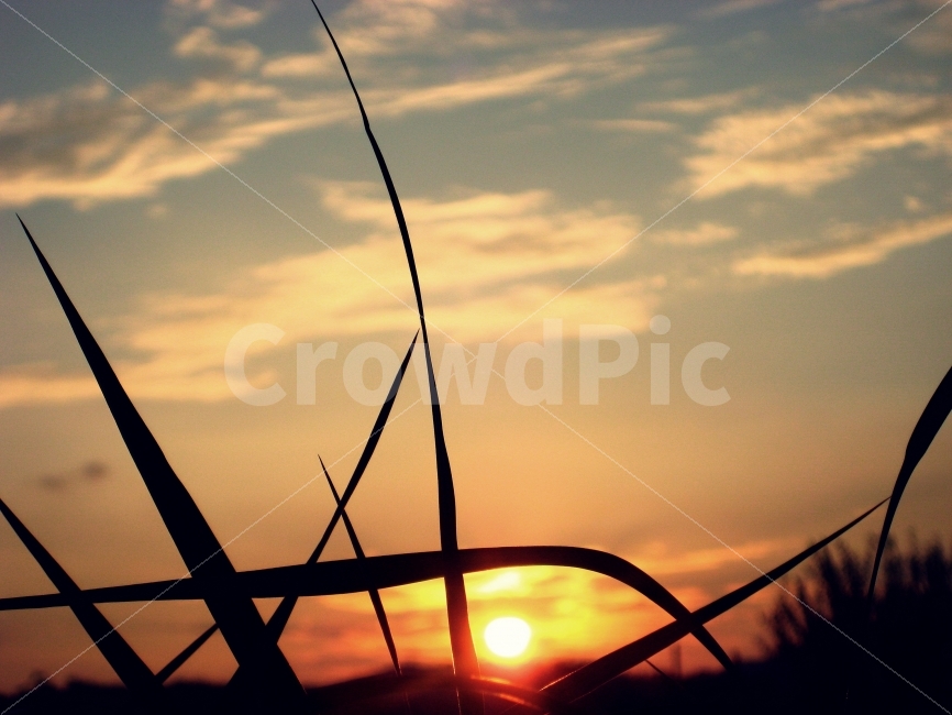 노을,해질녁,석양,저녁하늘,저녁풍경,자연,풍경,nature,landscape,flare,플레어,light,빛,sunlight,햇빛,outdoors,옥외
