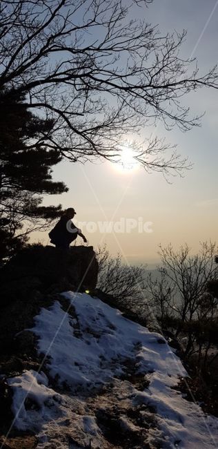 nature,자연,person,사람,human,인간,outdoors,옥외,해,나무,눈,겨울풍경