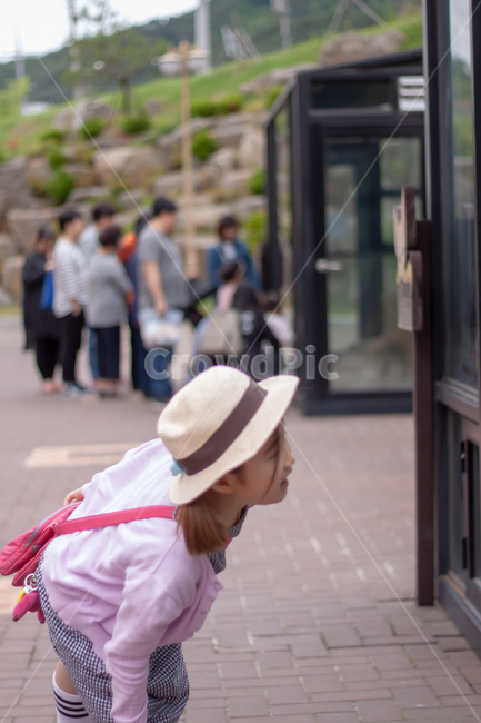 호기심,여자아이,소풍,모자,여행,관찰,girl,hat,curiosity,curious,female,family,trip,travel,journey,kid,child,소녀,사람,인물,인간,human,person,어린이,어린아이,child,children,kid