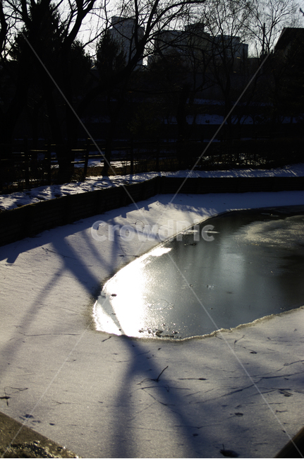 겨울,winter,풍경,설경,눈,연못,나무,그림자,겨울,계절,winter,season,자연,풍경,nature,landscape