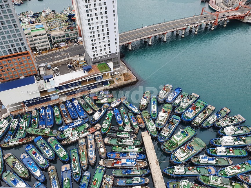 부산,부두,영도,배,ship,building,port,산업,industry,industrial,어업,fishery,fishing industry