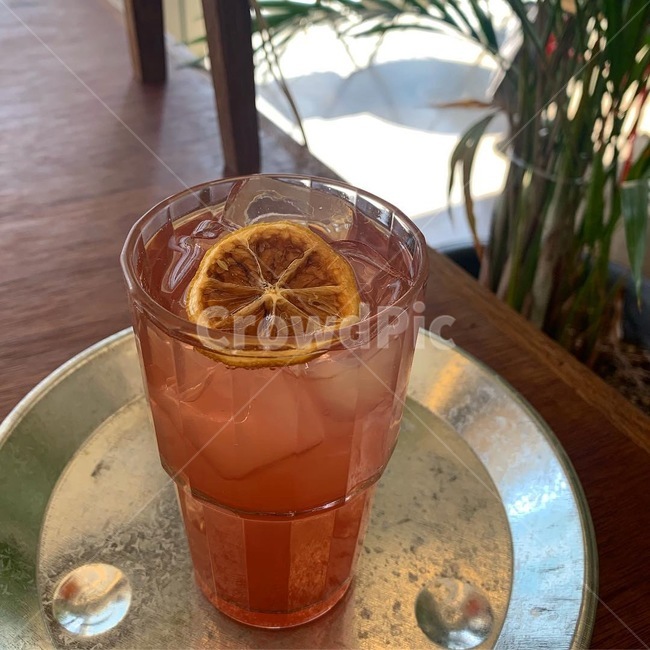 카페,음료,오렌지,식물,나무,음료수,drink,beverage