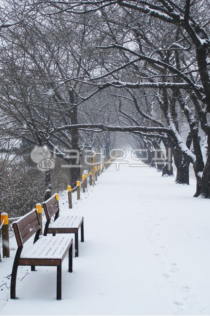 눈,겨울,흰눈,하얀눈,설경,폭설,nature,자연,outdoors,옥외,벤치,의자,나무,겨울나무,snow,눈길,풍경,겨울,계절,winter,season
