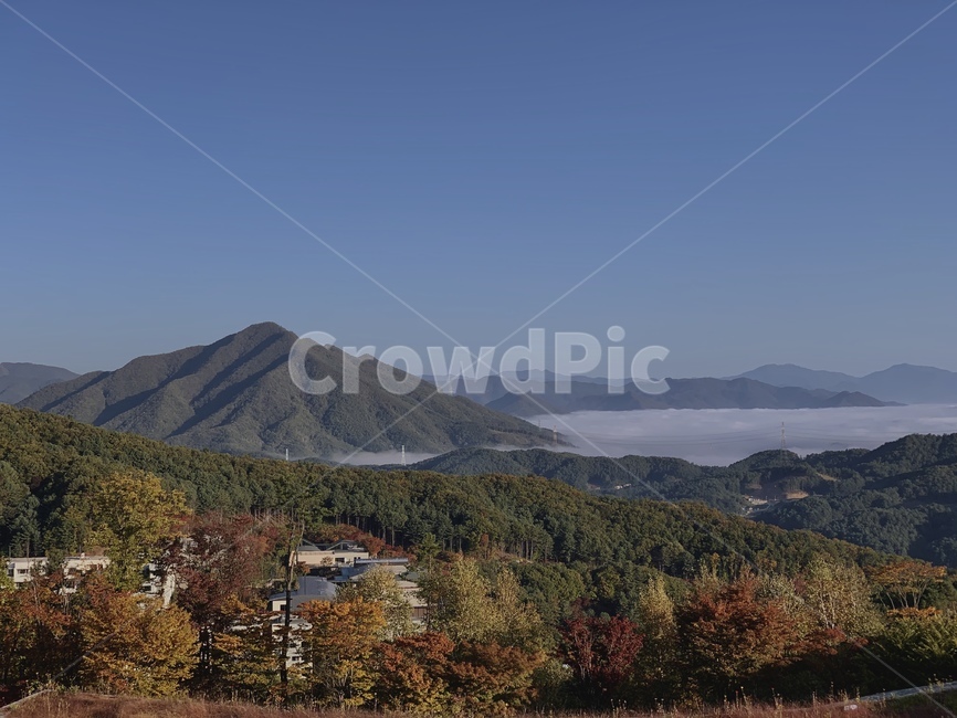 nature,자연,outdoors,옥외,mountainrange,산맥,mountain,산,fir,전나무,tree,나무,plant,식물,안개,풍경,자연,풍경,nature,landscape
