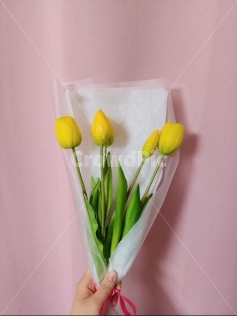 꽃,튤립,flower,노란튤립,꽃다발,튤립다발,조화,생화,yellow,flowers,줄기,나뭇잎,핑크,핑크색,pink