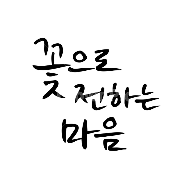 꽃,마음,손글씨,펜글씨,붓글씨,한글캘리,캘리,캘리그라피,누끼,remove background,캘리그라피,손글씨,calligraphy