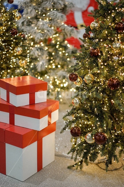 트리,크리스마스트리,연말,메리크리스마스,겨울,메리크리스마스,성탄절,merry christmas
