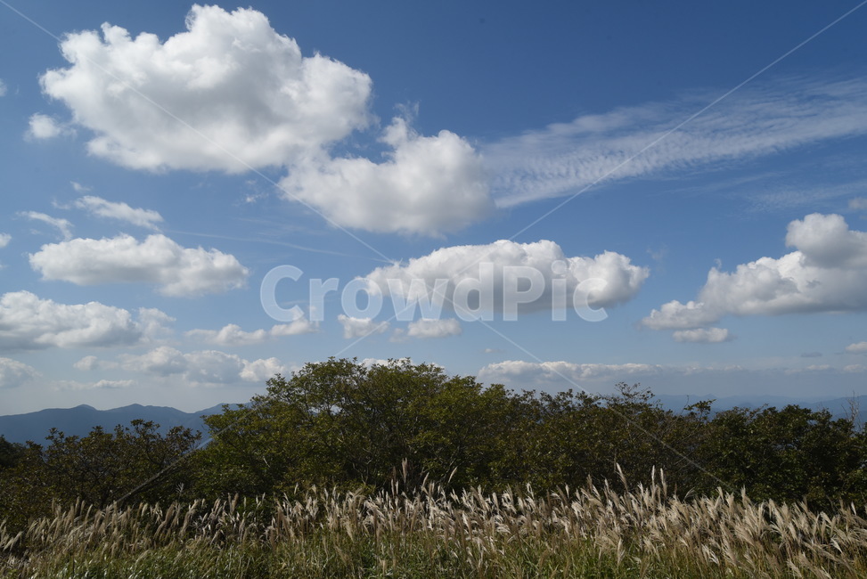 가을하늘,구름,nature,오솔길,자연,장안산,산,풍경,outdoors,road,자연,풍경,nature,landscape,weather,날씨,옥외,cloud,sky,하늘,cumulus,적운