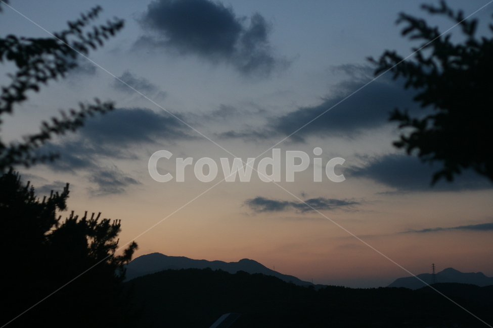 자연,나무,경치,산,노을