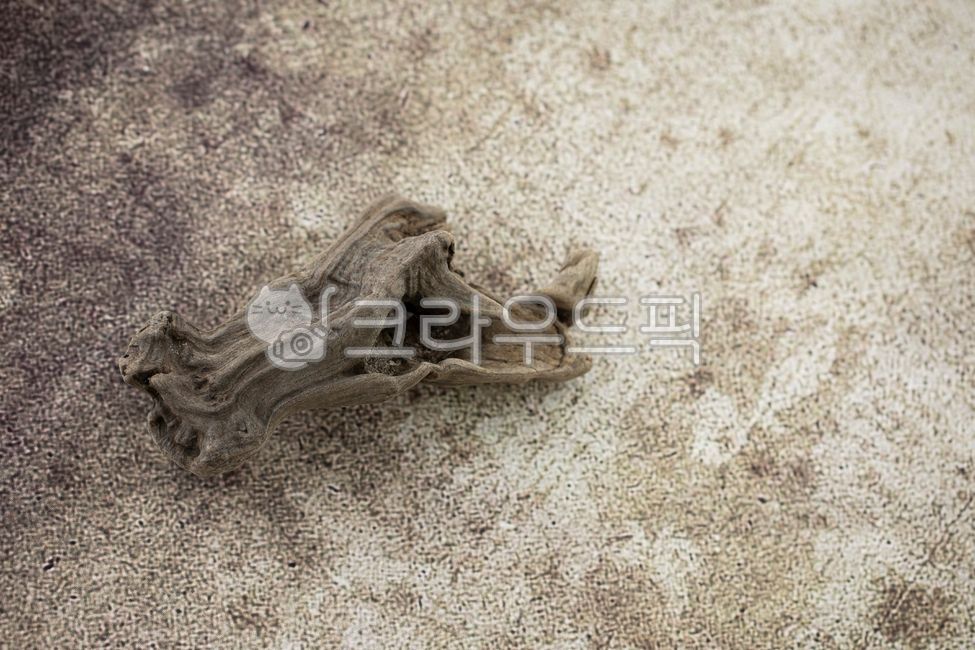 Wood,Ghostwood,Object,Prop,Driftwood,Photography Prop,Studio,Photography Background,Vintage