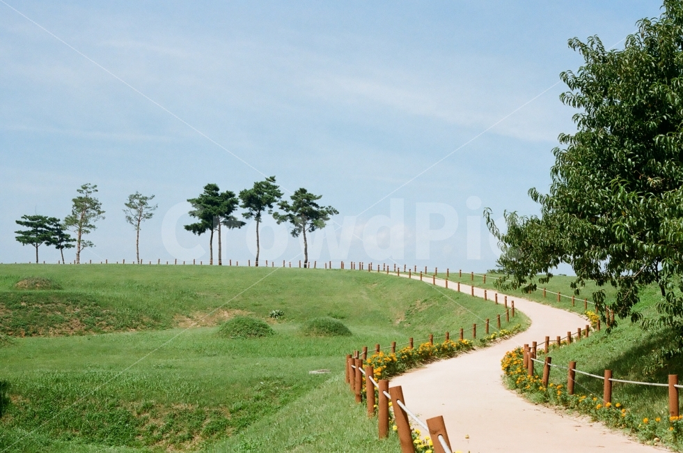 풍경,자연,하늘,나무,감성사진,감성,일상,자연,풍경,nature,landscape,outdoors,옥외,field,들,grassland,목초지,plant,식물,grass,잔디