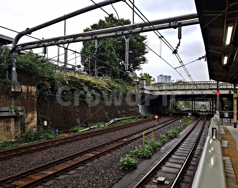 기차역,지하철,열차,나무,기다림,철도역,레일,Railway,Train,여행,일본,기차길,전철,철로,정거장,교통,여행이미지,교통,교통수단,traffic,transportation,train track,기찻길,rail,railway,철도