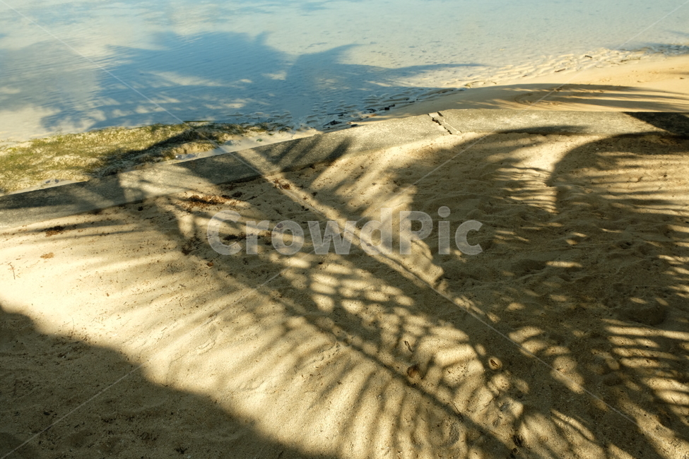 바다,해변,감성,휴식,힐링,색체,색감,soil,흙,nature,자연,sand,모래,outdoors,옥외,dune,모래언덕