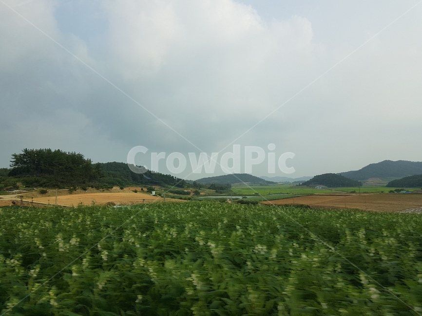 nature,자연,outdoors,옥외,field,들,자연,풍경,nature,landscape