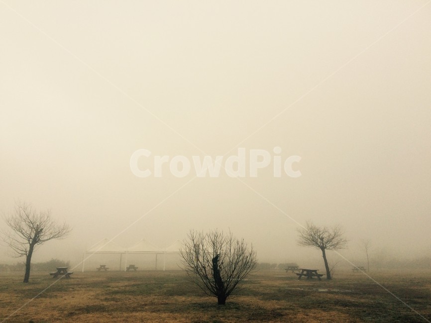 하늘,갈대,가을,감성사진,강,물,안개,자연,풍경,nature,landscape,weather,날씨,outdoors,옥외