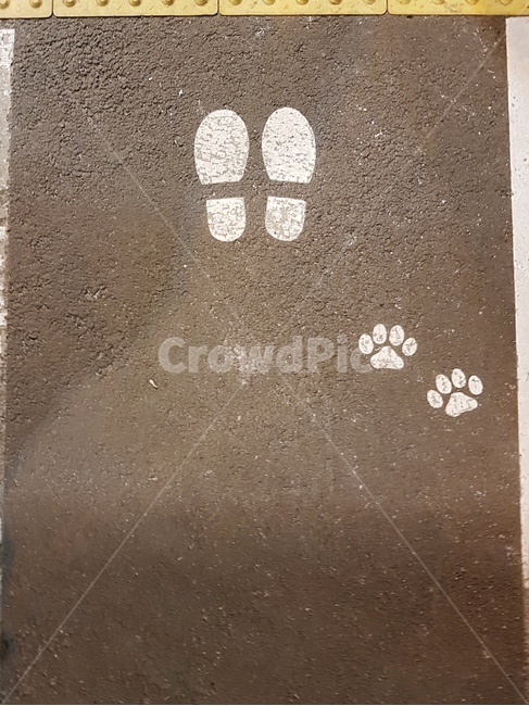 발자국,동물발자국,고양이발자국,강아지발자국,footprint