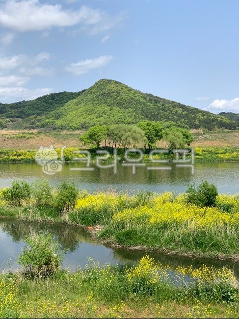 nature, 자연, river, 강, 나무, 사진,이미지,일러스트,캘리그라피 - 여름이좋아작가