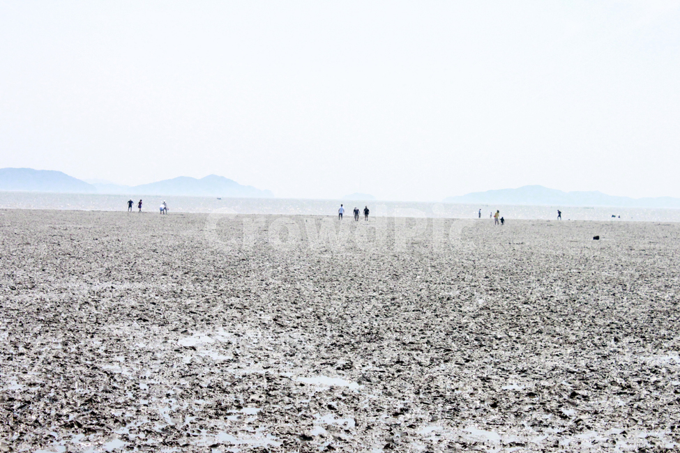 자연,하늘,바다,갯벌,mudflat,sky,sea