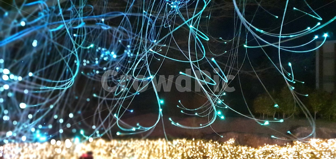 광섬유,야경,빛,lighting,조명,opticalfiber,led,love,사랑,러브,크리스마스,크리스마스트리,Christmas,Christmastree,성탄절,송년,성탄트리