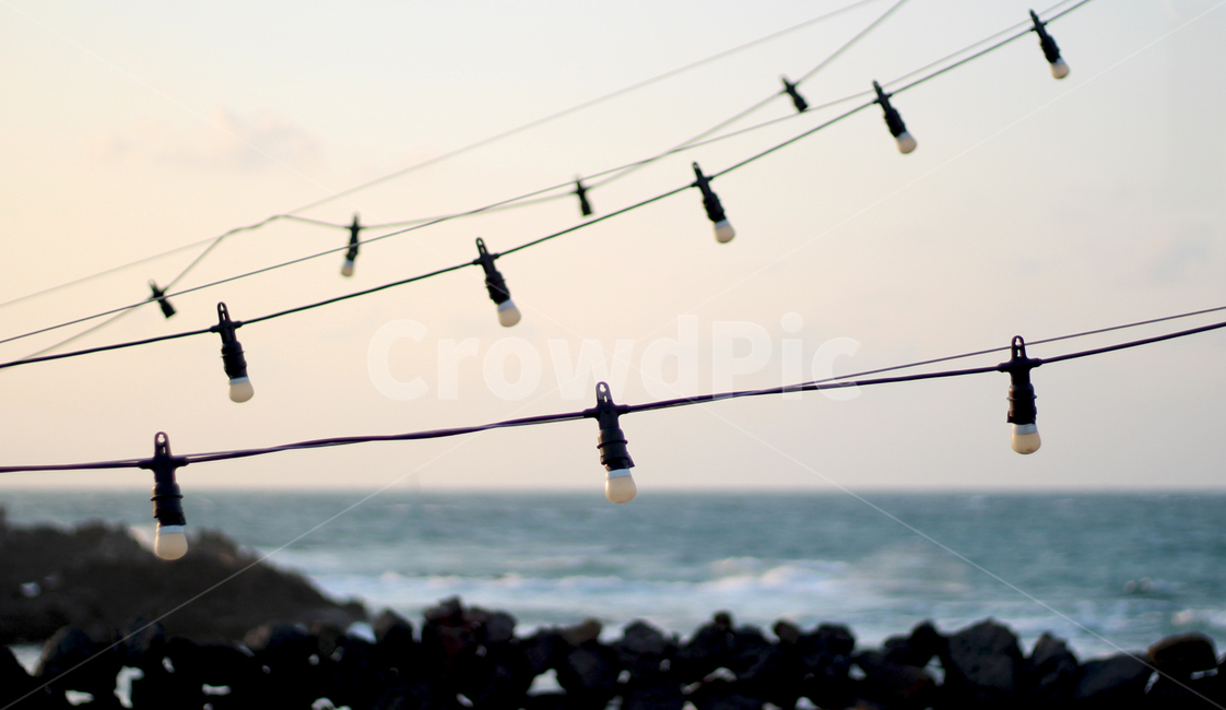 제주도,jeju,조명,light,자연,nature