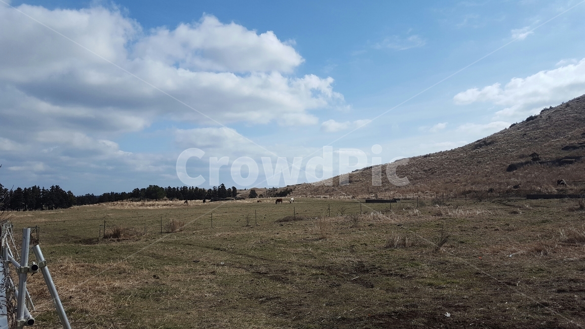 풍경,제주도,구름,하늘,들판,자연,풍경,nature,landscape,outdoors,옥외,grassland,목초지,field,들