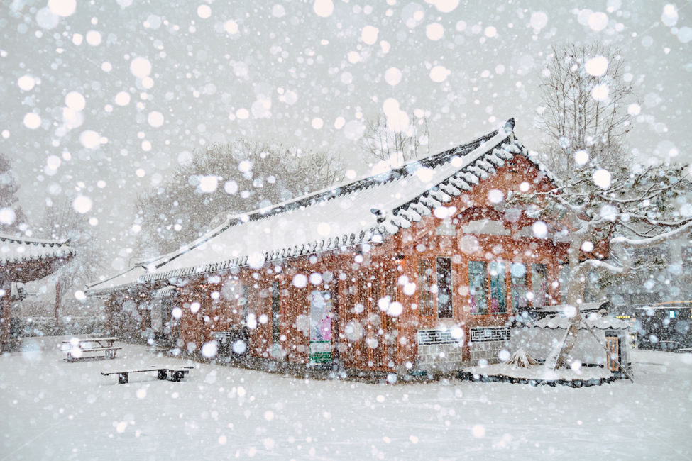 전통가옥,눈,기와집,함박눈,겨울,snow,winter,bigsnowflakes,tileroofedhouse
