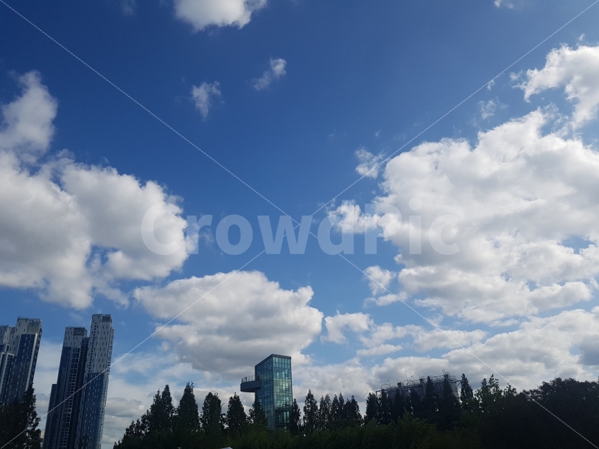 서울숲,하늘,구름,파란하늘,서울하늘,도시,풍경,city,landscape,nature,자연,weather,날씨,sky,outdoors,옥외,cloud,cumulus,적운