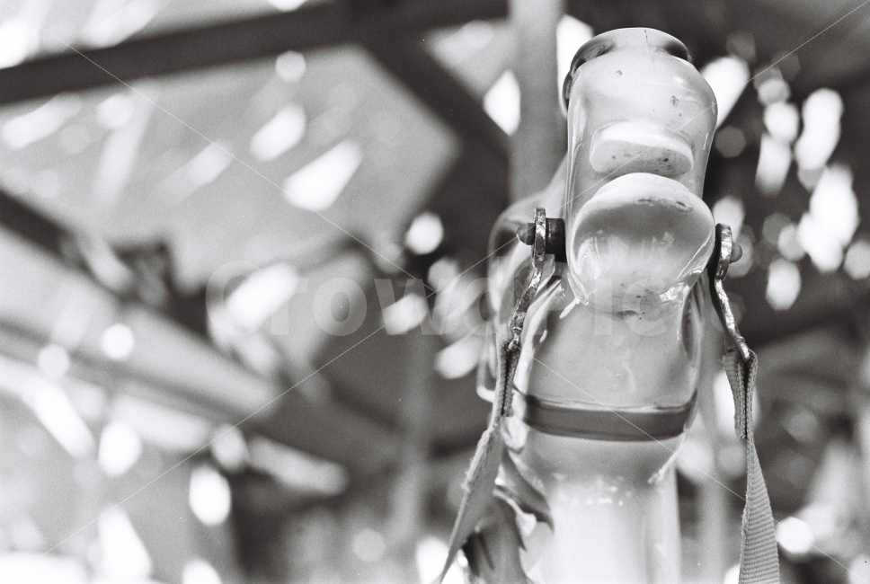 Amusement Park,Nikon,Yongma Land,Fm2,Emotion,film,Grayscale,Merrygoround,film camera