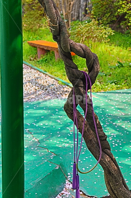 tree trunk,shadow,Jump Rope,light,jumprope
